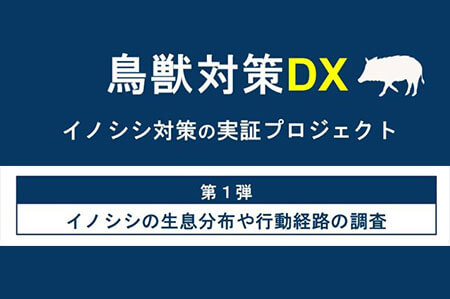 福岡市「鳥獣対策 DX実証プロジェクト」の実証実験を開始