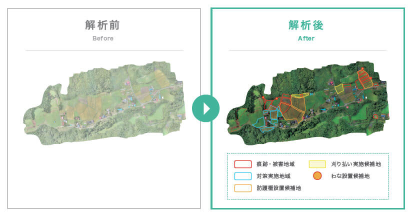 ドローン空撮 集落環境調査 オルソ画像 防除柵 耕作放棄地